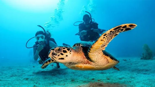 PADI Open Water Diver - eLearning
