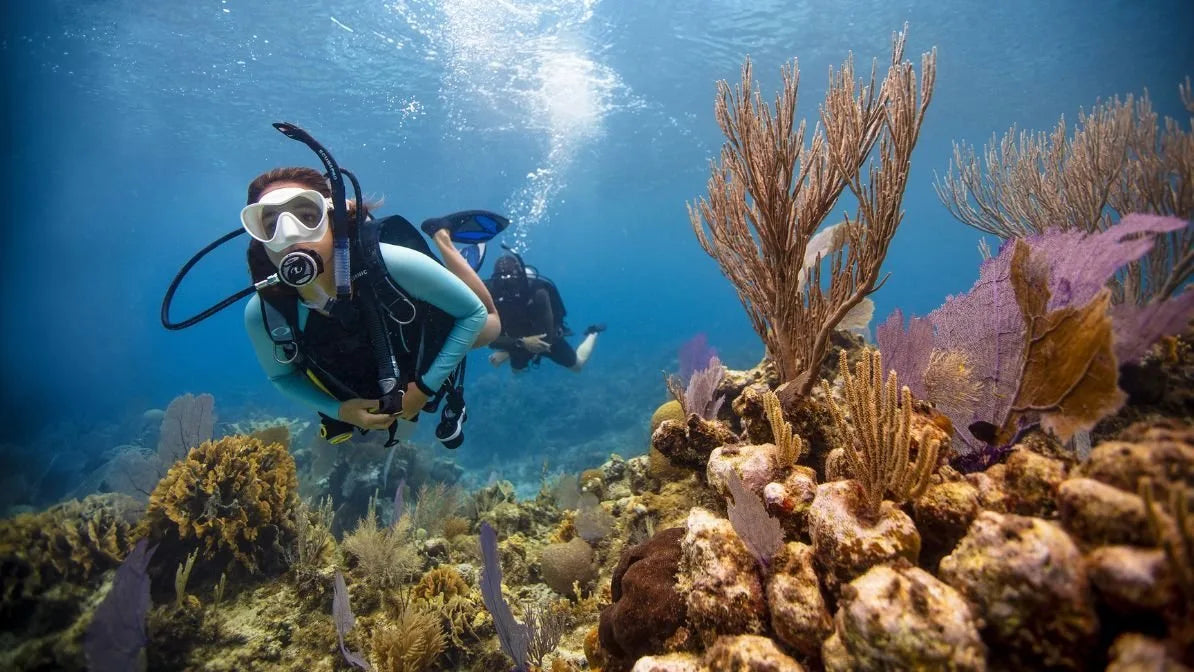 PADI Open Water Diver - eLearning